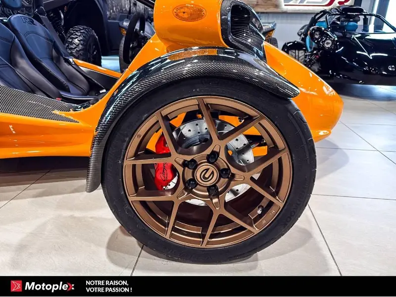 2026 Campagna T-REX RR