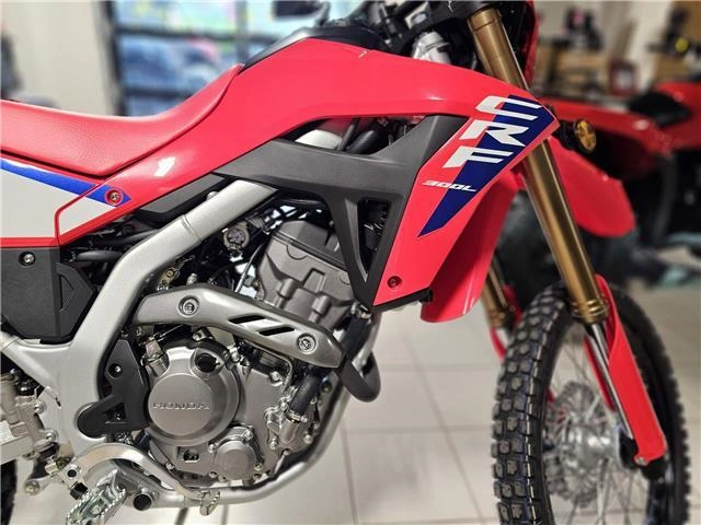 2025 Honda Crf300la Abs alt