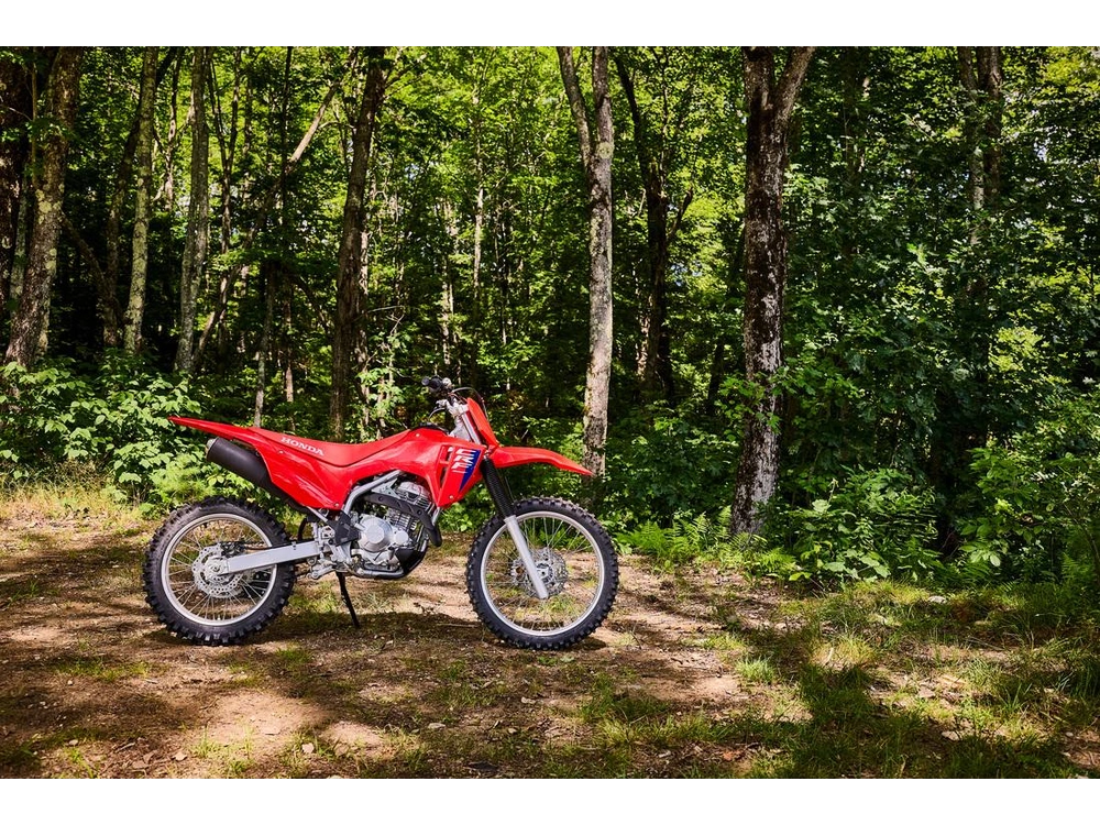 Honda Crf 300 F Hors-route 2026 alt