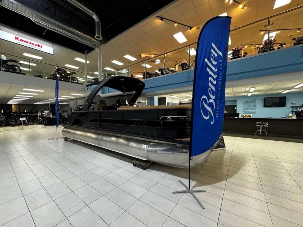 Bentley Elite 253 Swingback 2026 alt