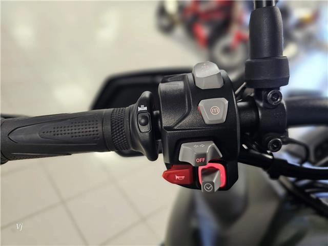 2025 Triumph Tiger 900 Rally Pro alt
