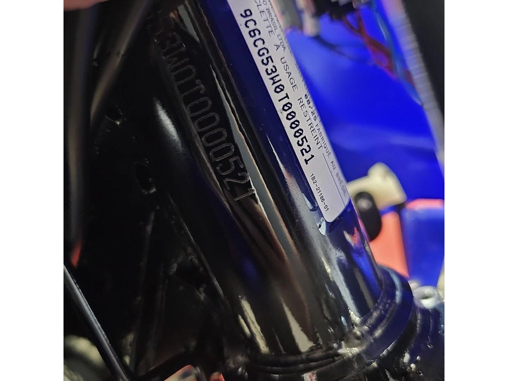 2026 Yamaha Ttr 230 alt