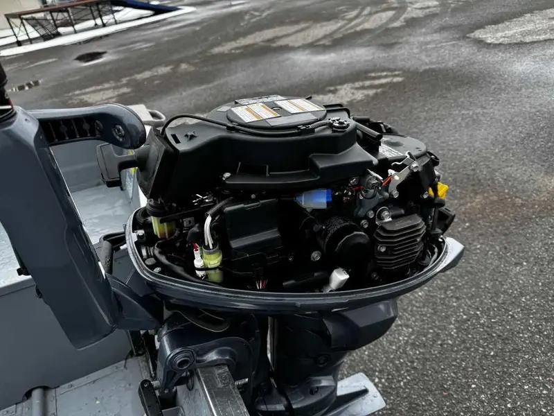 Yamaha F20smhb 2023 alt