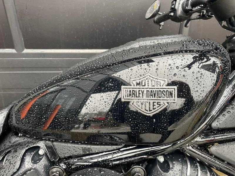 2026 Harley-davidson Rh975 - Nightster™ alt