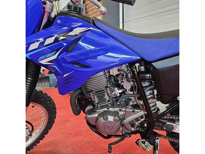 2026 Yamaha TTR 230 thumbnail 10