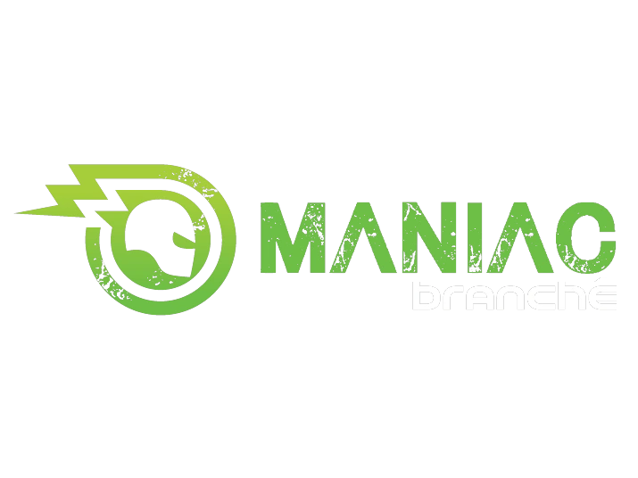 Taubik Slane Rideau 500w 48v 12ah 2021 alt