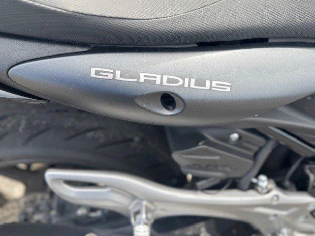 Suzuki Sv6550 Gladius 2014 alt