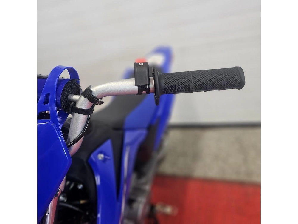 2026 Yamaha Ttr110 alt