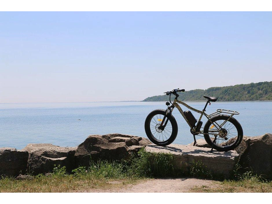 2021 Taubik Daymak Wild Goose 60v 12.5ah alt