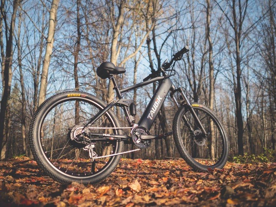 Taubik Taubik Peak 2023 alt