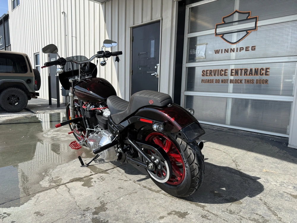 2024 Harley-davidson Softail Standard alt