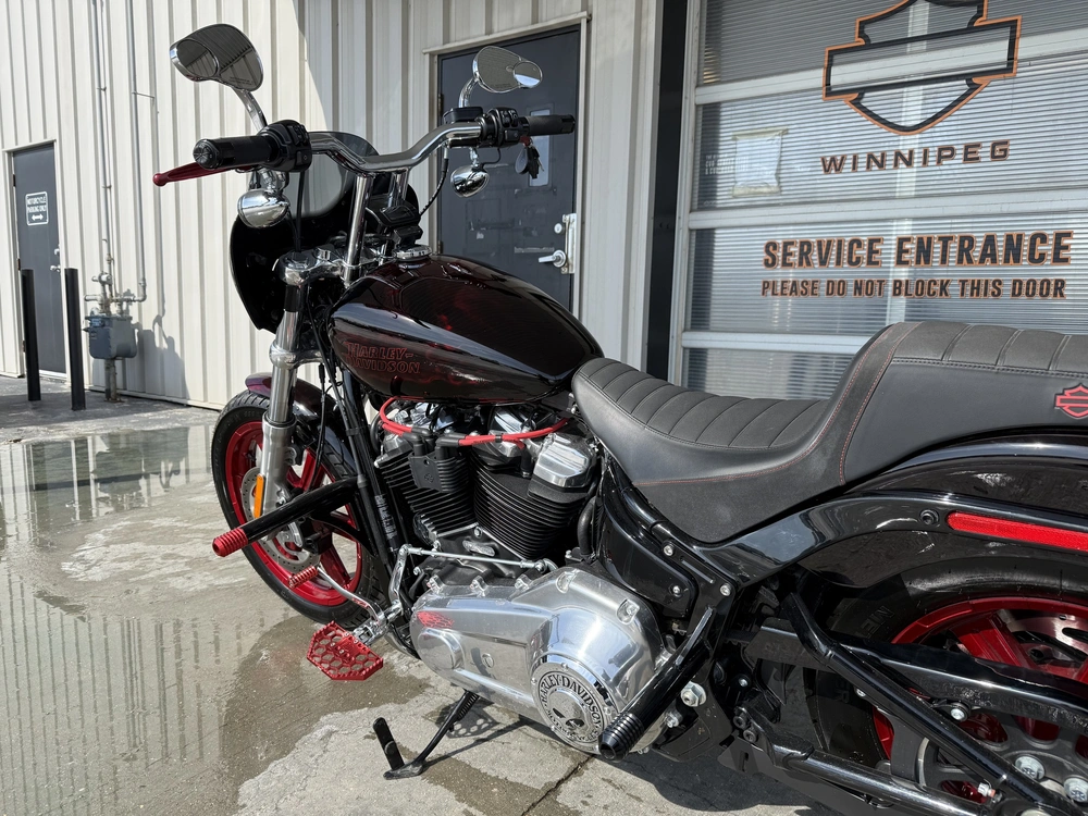 2024 Harley-davidson Softail Standard alt