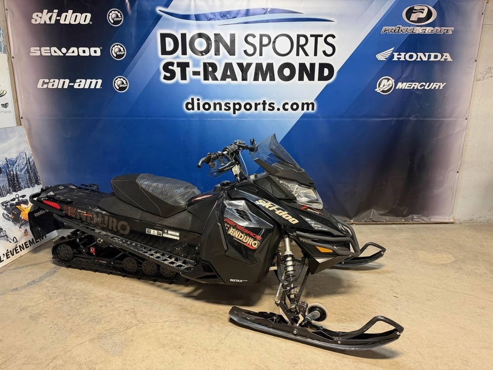 Ski-doo Renegade Enduro 900 Ace 2016 alt