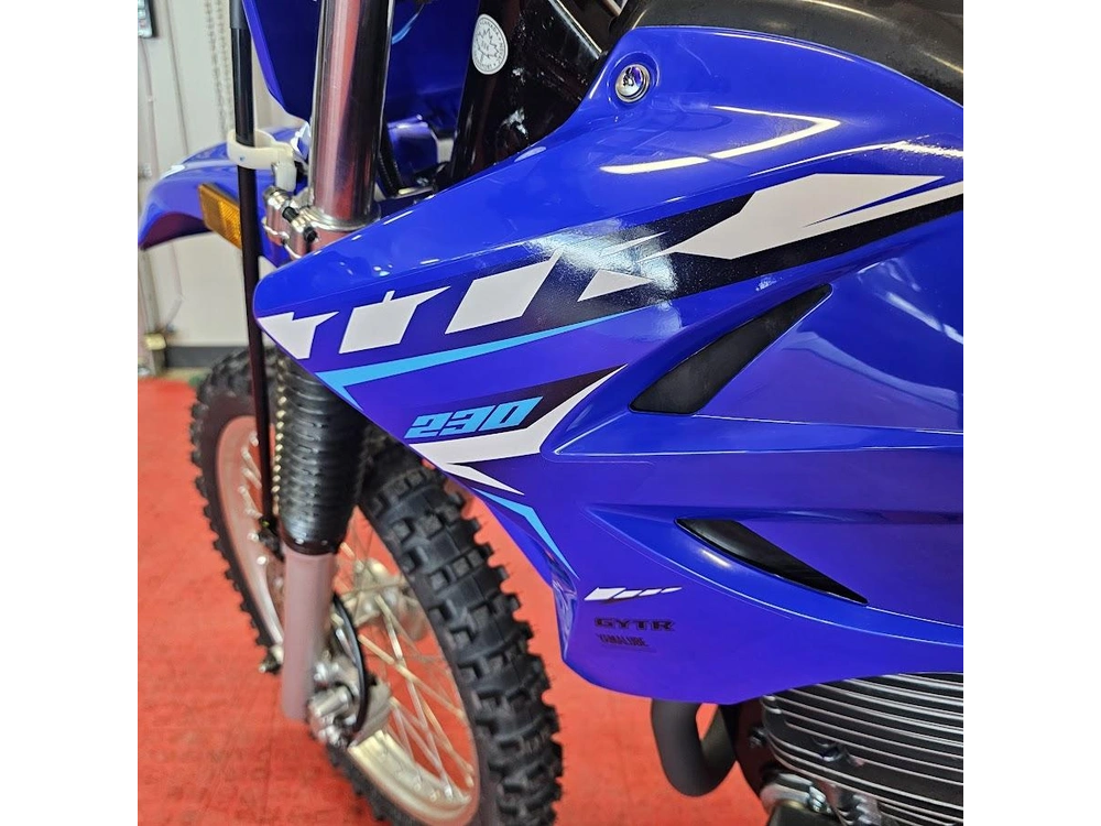 2026 Yamaha Ttr 230 alt