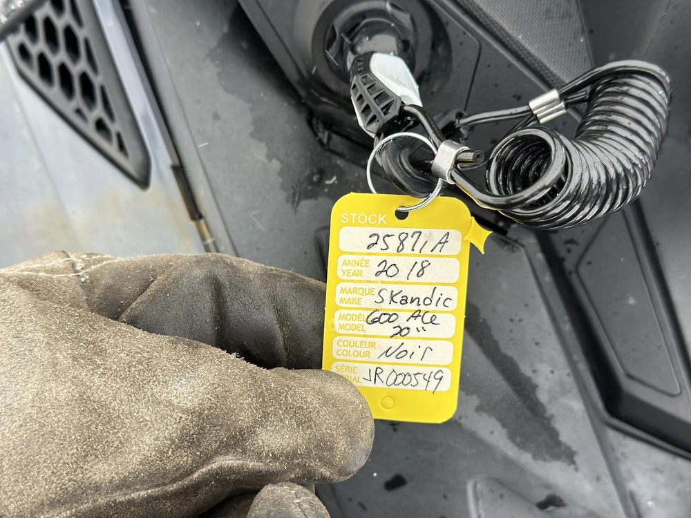 Ski-doo Skandic 600 Ace 20" 2018 alt