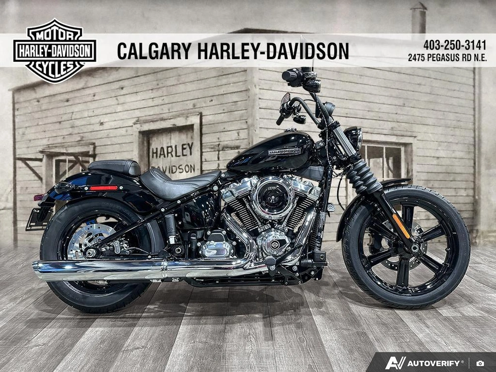 2026 Harley-davidson Street Bob alt