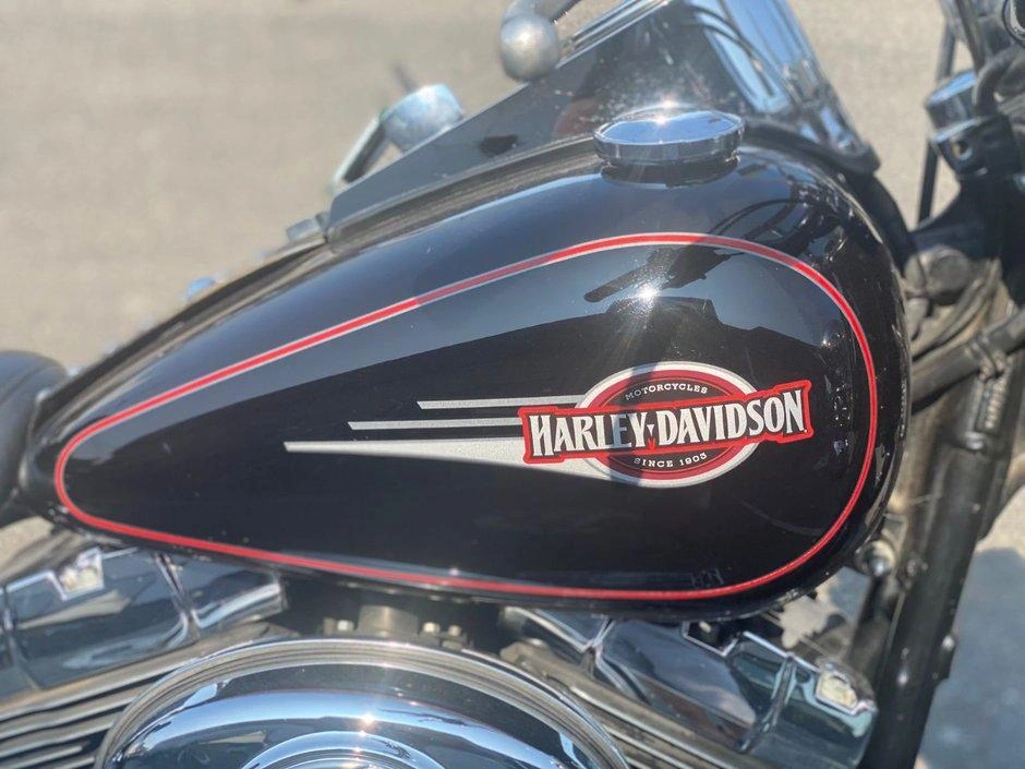 Harley-davidson Softail Heritage Classic Flstc 2005 alt