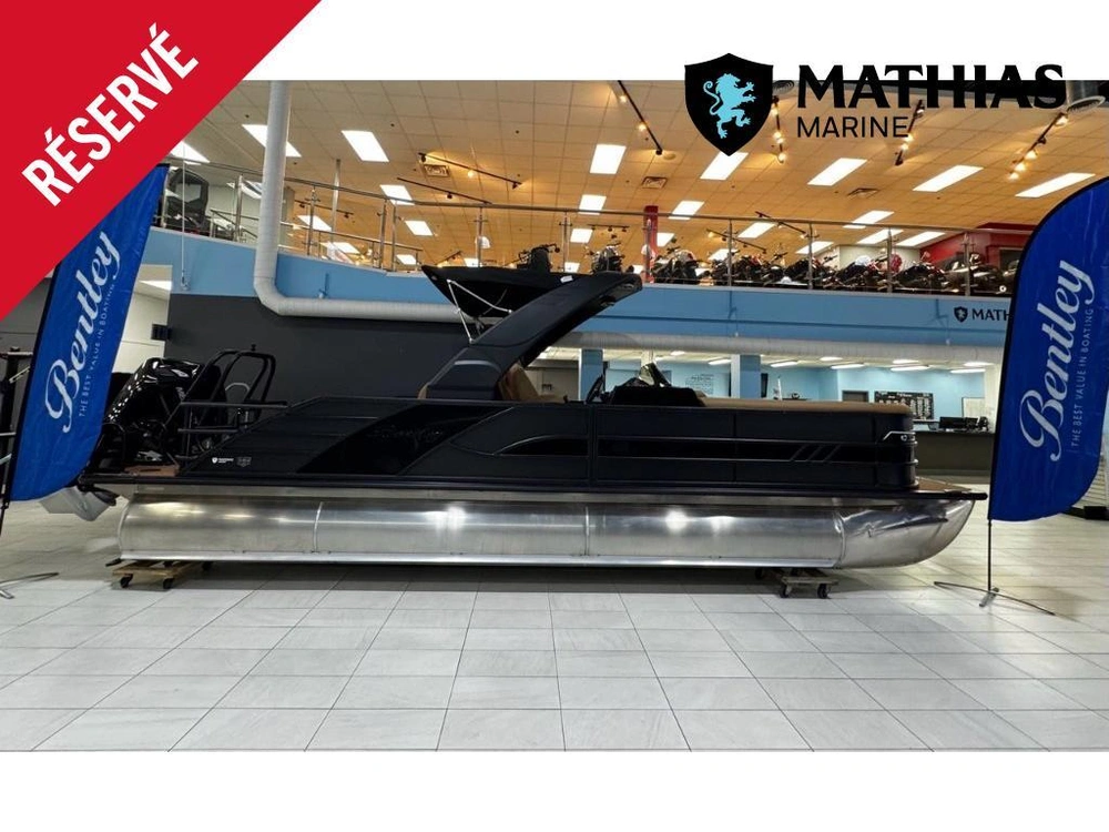 Bentley Elite 253 Swingback 2026 alt