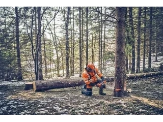 2026 Husqvarna 562xp Mii 18" 58ga 3/8 alt