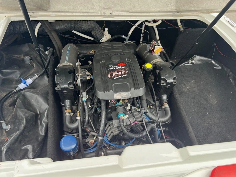 Regal Session 22 Xi 2006 alt