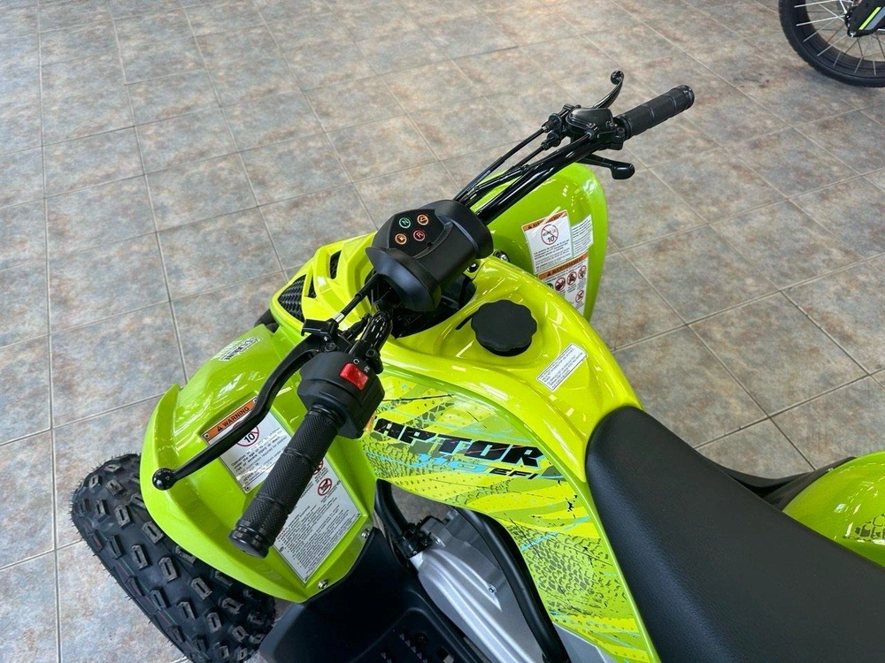 2026 Yamaha Raptor 110 alt