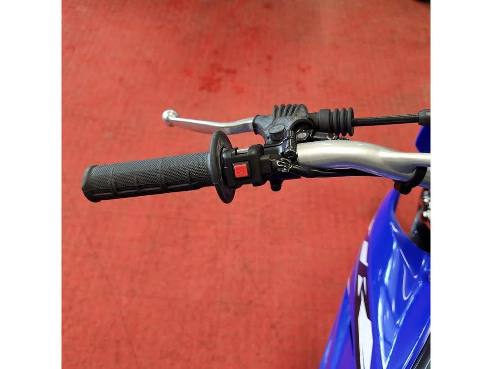 2026 Yamaha Ttr 230 alt