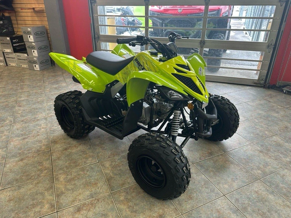 2026 Yamaha Raptor 110 alt