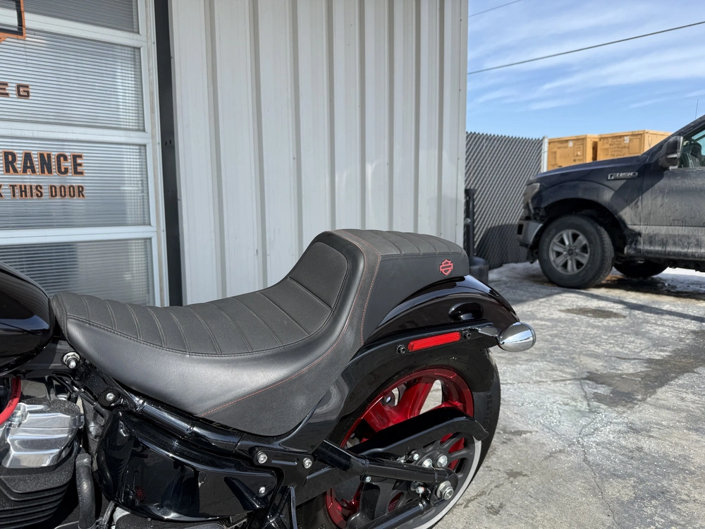 2024 Harley-davidson Softail Standard alt