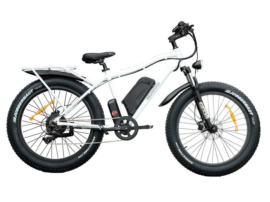 2021 Taubik Daymak Wild Goose 60v 12.5ah alt