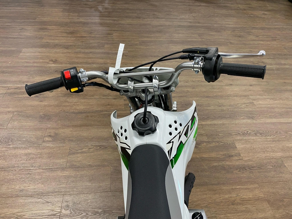 2026 Kawasaki Klx® 110r L 110r L alt