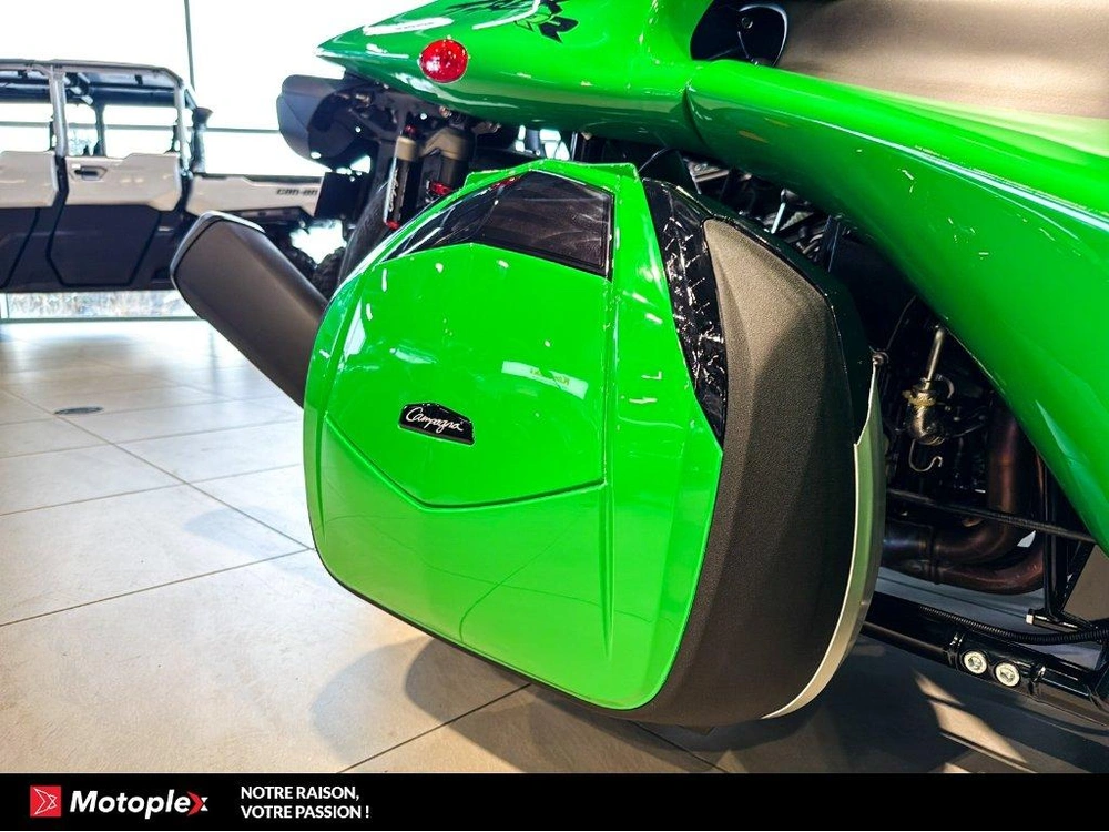 Campagna T-rex Rr 2025 alt