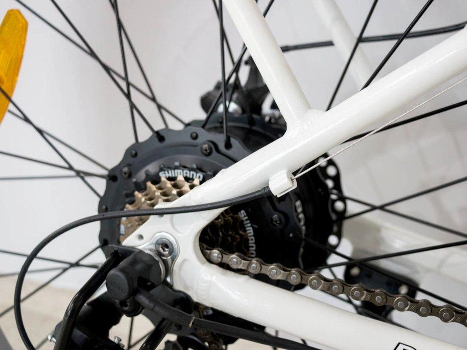 2021 Taubik Daymak Wild Goose 60v 12.5ah alt