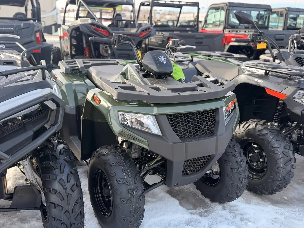 2026 Arctic Cat Alterra 300