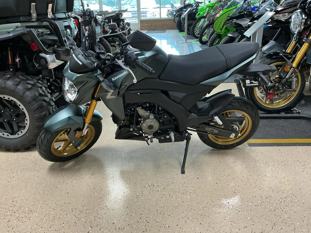 2025 Kawasaki Z125 Pro Base alt