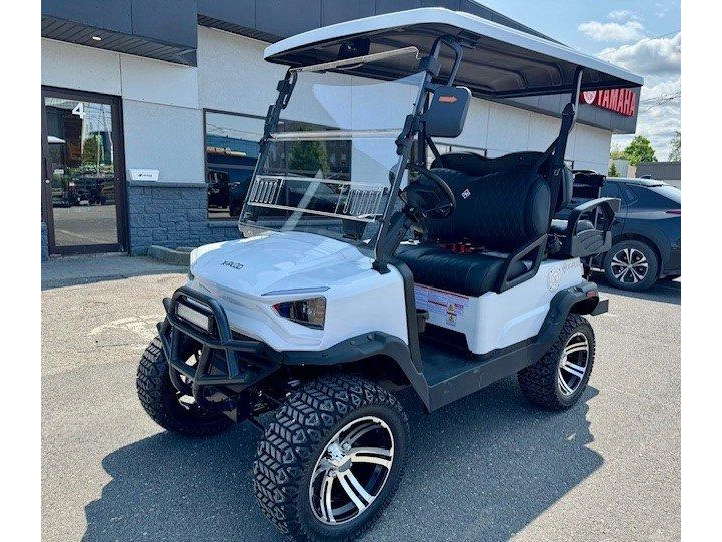 2025 Other Modèle: Adventure 22 Plus 100% Électrique. Batterie Au Lithium !!! alt