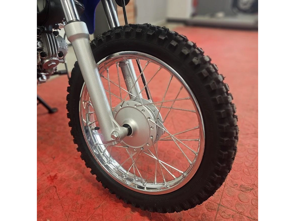 2026 Yamaha Ttr 110 alt