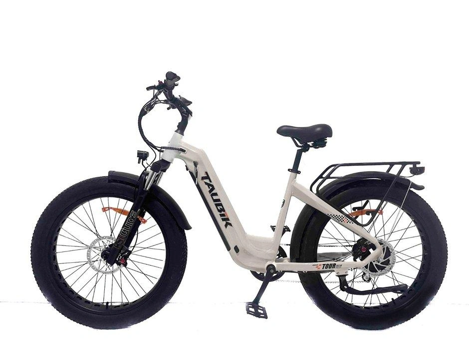 Taubik Taubik Tour 2023 alt