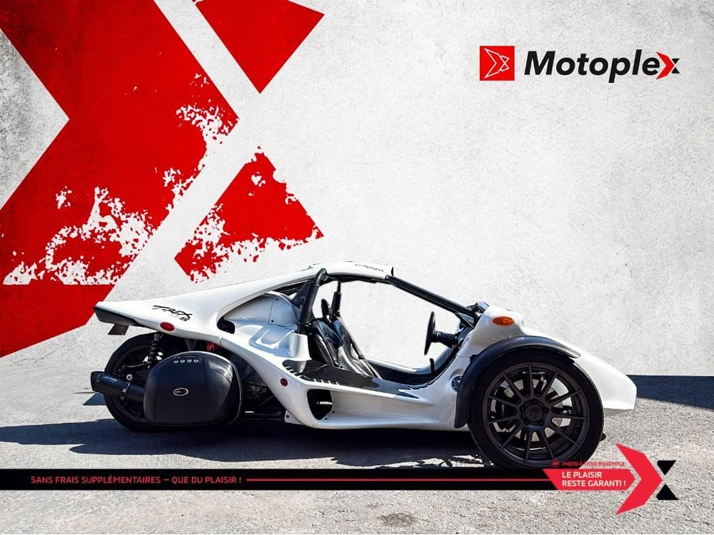 Campagna T-rex 16s 2017 alt