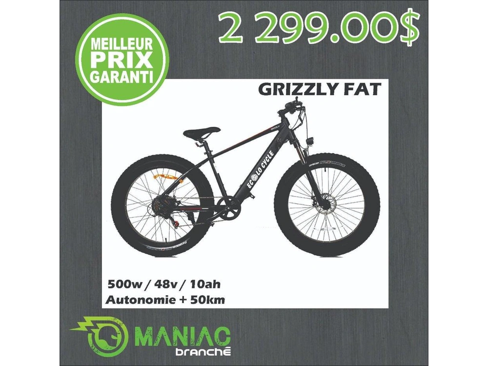 Taubik Ecolo Cycle Grizzly 2022 alt