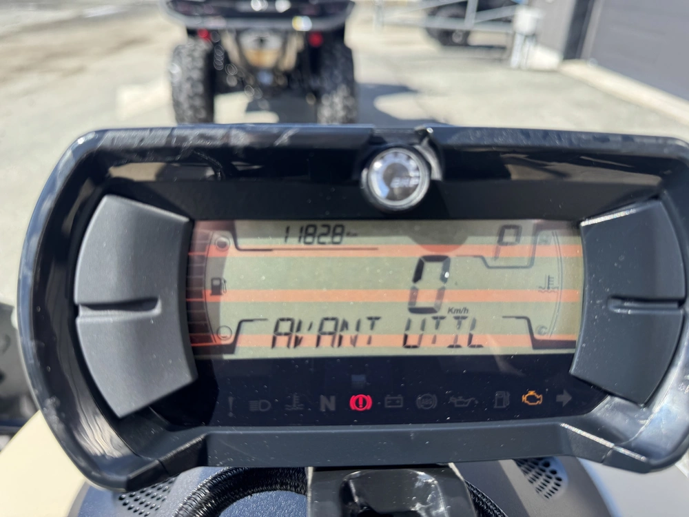 Can-am Ryker 900 Ace 2024 alt