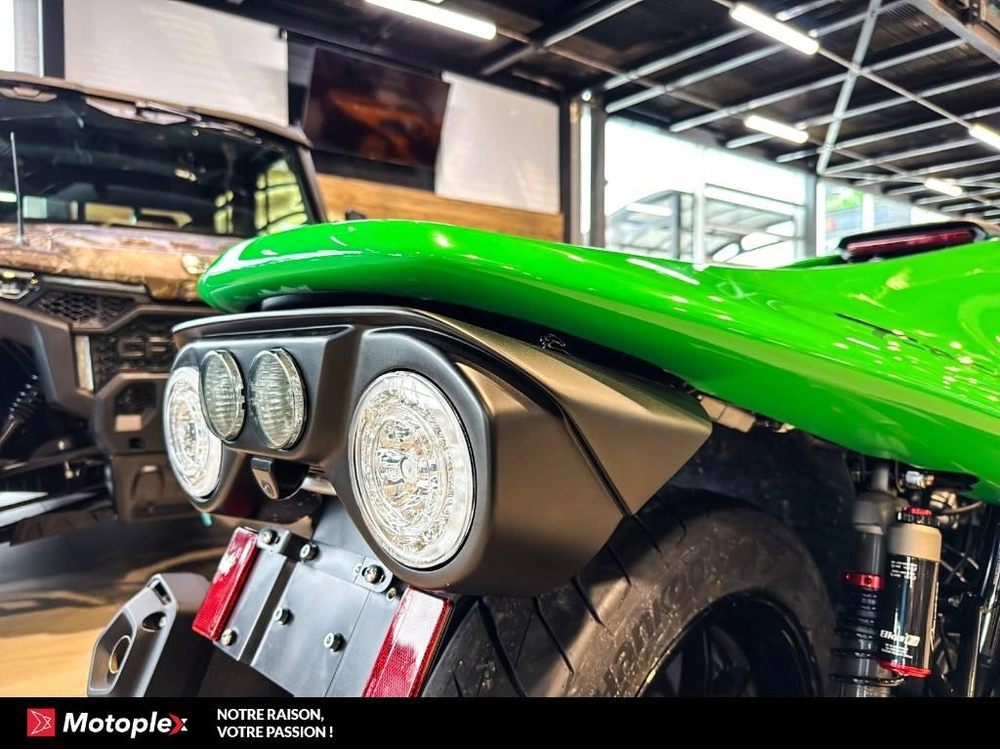 Campagna T-rex Rr 2026 alt