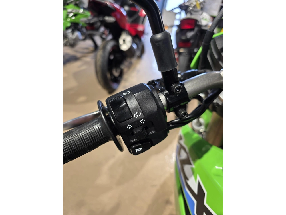 2026 Kawasaki Klx 300