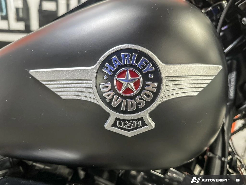 2017 Harley-davidson Fat Boy Lo S alt