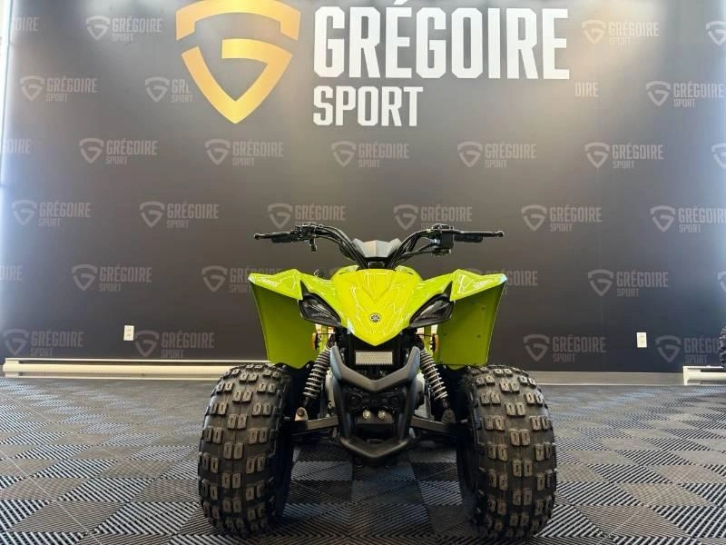 Yamaha Yfz50 2026 alt