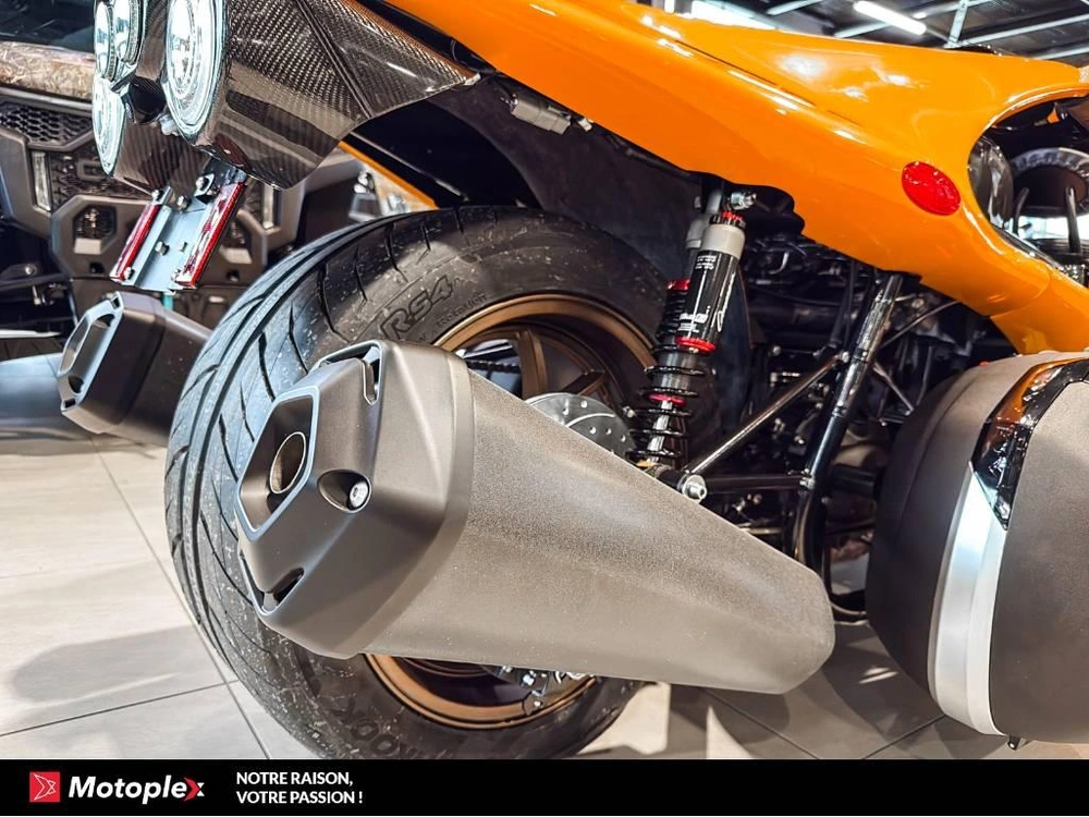 Campagna T-rex Rr 2025 alt