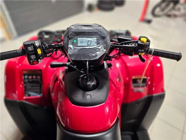 2026 Honda Rubicon 700 alt