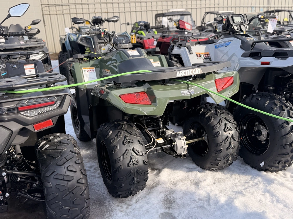2026 Arctic Cat Alterra 300 alt