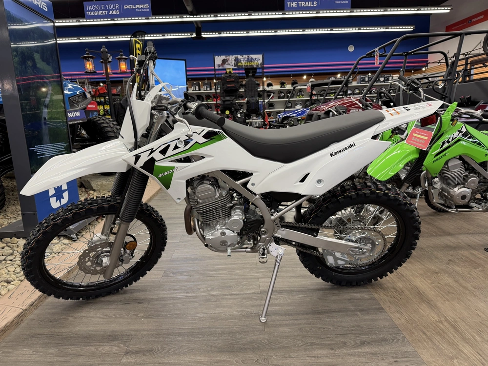 2026 Kawasaki Klx 230r alt
