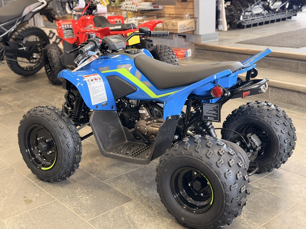 2026 Cfmoto Cforce 110 Classic alt