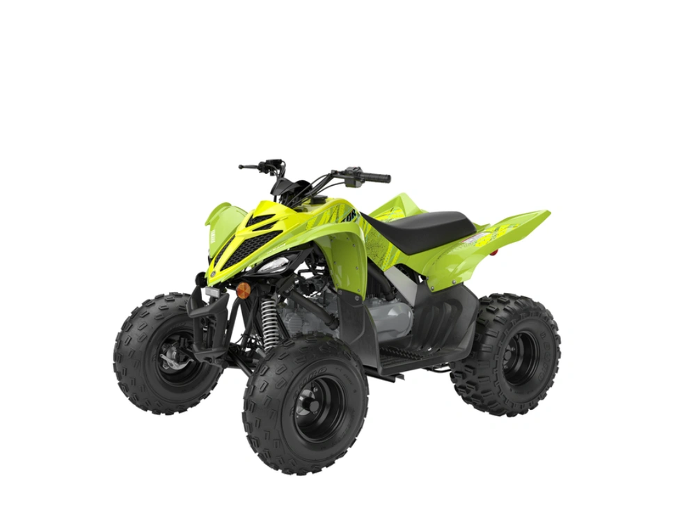 2026 Yamaha Raptor 110 alt